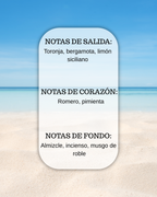 PERFUMEO: Blue Coast |  Light Blue Pour Homme – Dolce & Gabbana