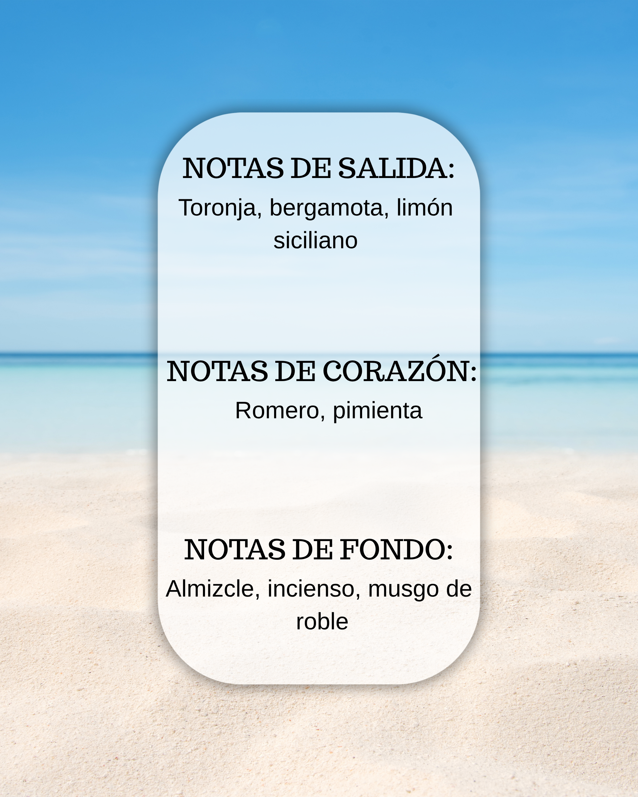 PERFUMEO: Blue Coast |  Light Blue Pour Homme – Dolce & Gabbana